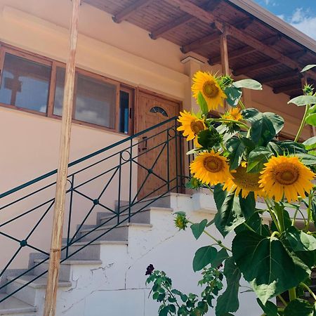 Апартаменты Bokas Exotic House Tragana  Экстерьер фото
