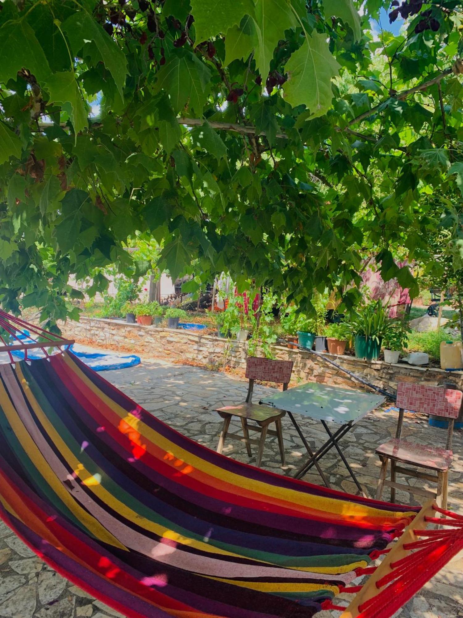 Апартаменты Bokas Exotic House Tragana  Экстерьер фото